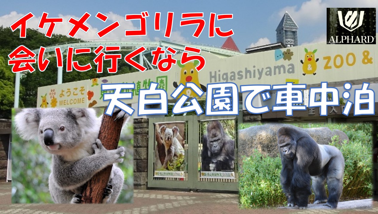 東山動物園にイケメンゴリラに会いに行こう 名古屋東部のおすすめ車中泊スポットをご紹介 どりとらぶろぐ